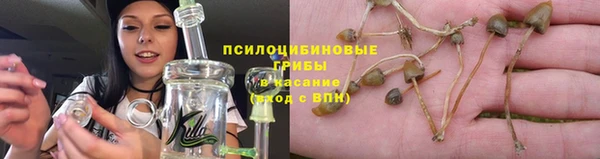 гидропоника Горно-Алтайск