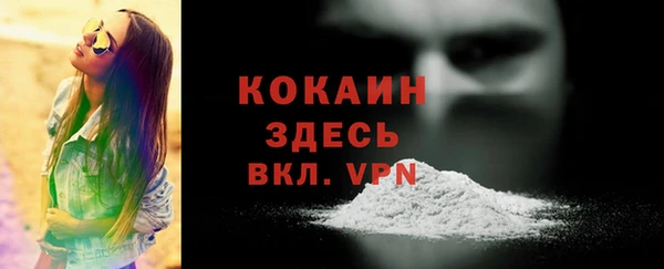 прущая мука Горняк