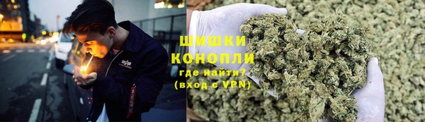 гидропоника Горно-Алтайск